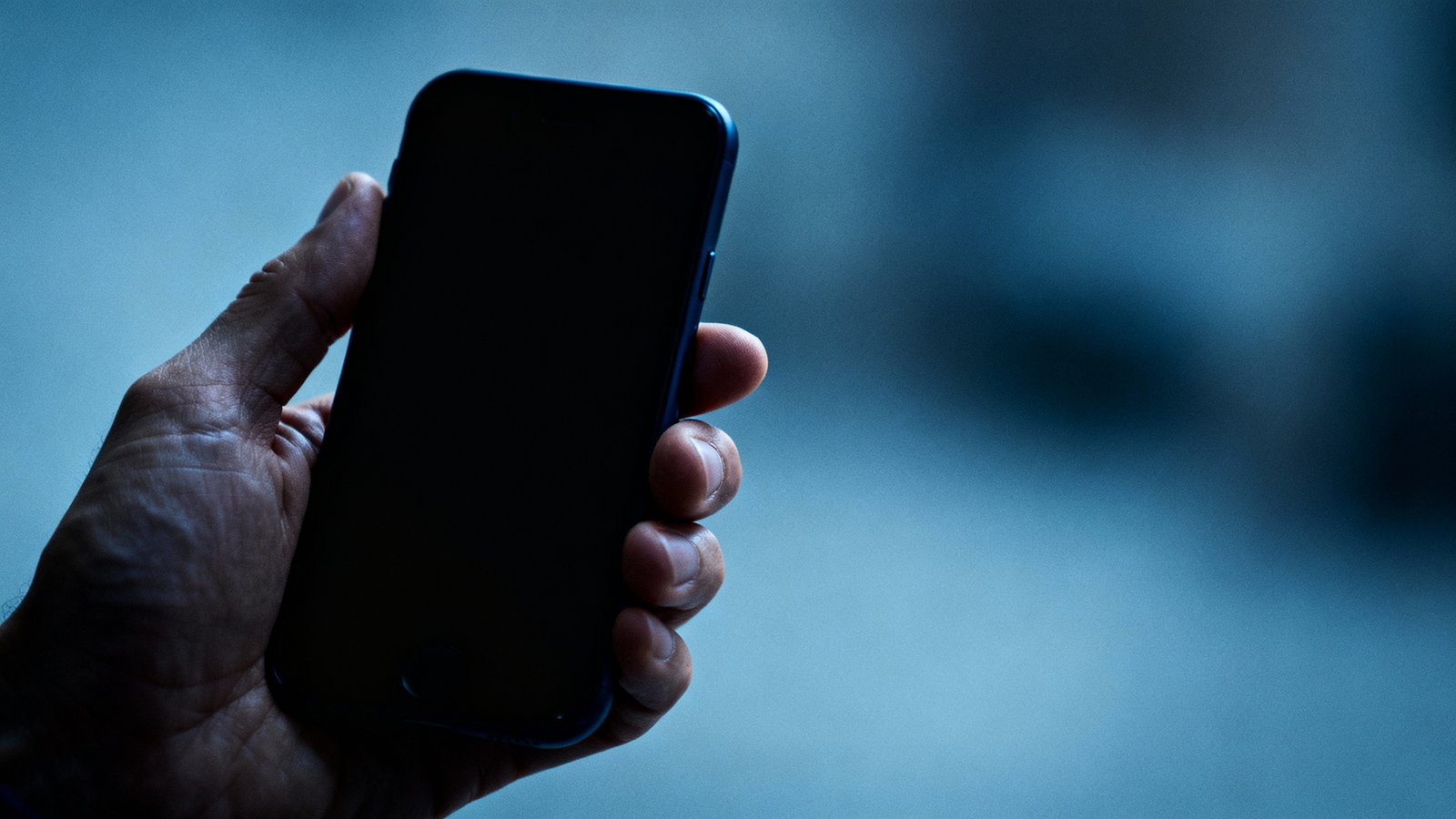 Seeking Sister Wife Star's Shocking Arrest!