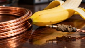 Mud, Banana, Copper: Audiophiles Can’t Tell!