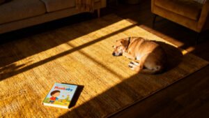 Martha’s Rugs: The $23 Secret to a Kid & Pet-Friendly Home?