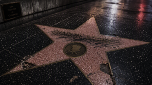 Dolly Parton’s Star Vandalized: Flowers Stolen, Name Scratched