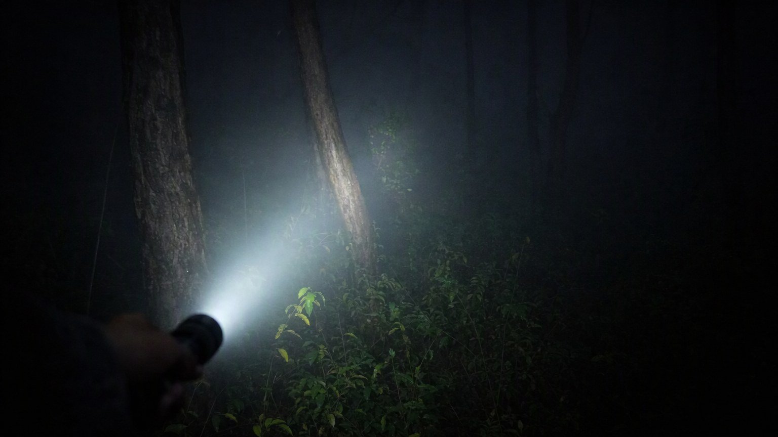 13 Horror Movies Set to Terrify Theaters This October