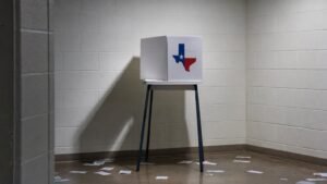 What Really Happened to 600,000 Texas Voters?